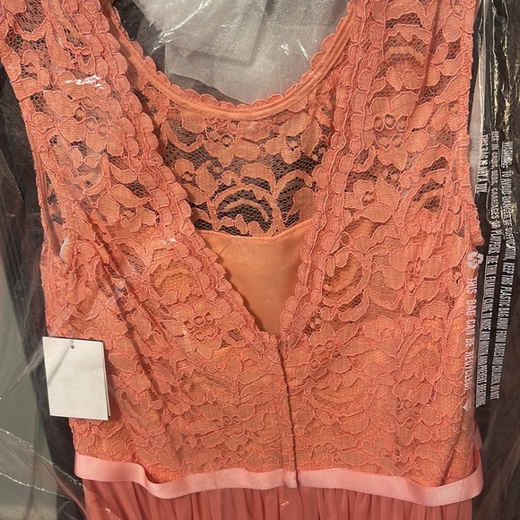 Long, Lace, Parfait Dress NWT - Picture 5 of 6